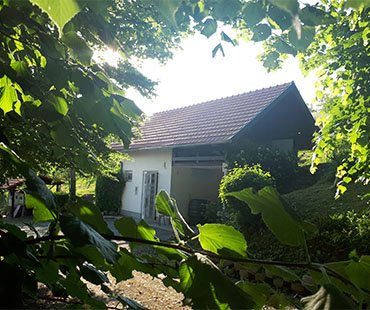 Apartman Cesargradska klet**