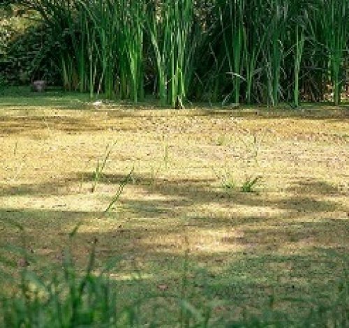 Thermalquellen im Ort Tuheljske Toplice